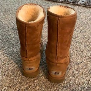 Classic Chestnut Tall UGGS Boot
